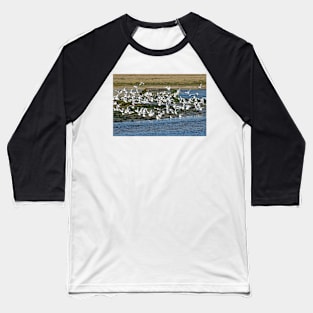 Le Conquet - L'envol Baseball T-Shirt